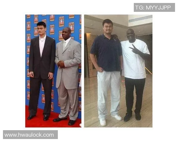 韩红与姚明亲密合影展现友谊与合作精神引发网友热议